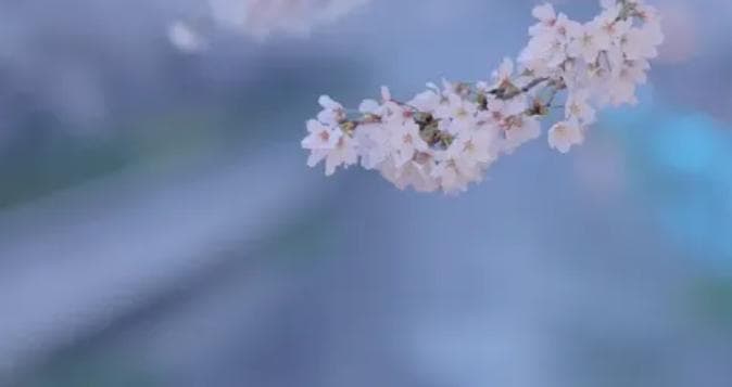 《围炉夜话》5句智慧箴言，讲透人生哲理