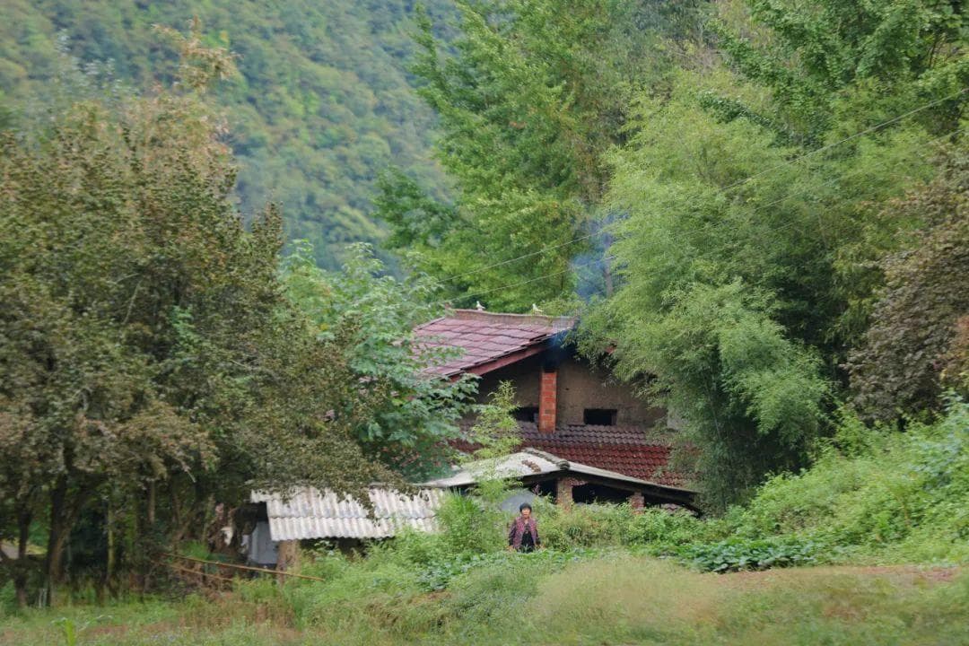 秦岭深处的朝阳村垃圾难题：焚烧与污染的两难困境