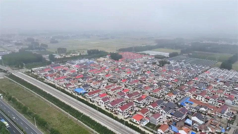 海头镇大官庄村：桑茂东榆 “葚”情难却