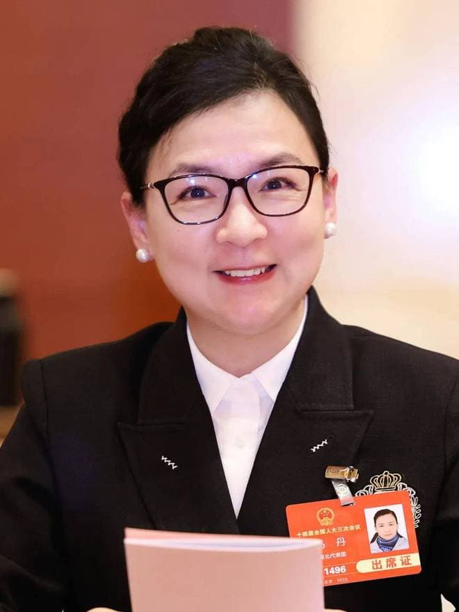 马丹、秦源、陆銮眉、惠凤莲代表热议预防未成年人犯罪