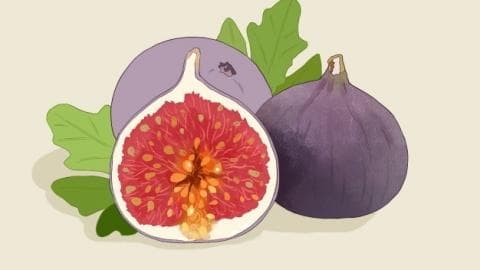 无花果叶的功效与作用