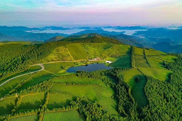14家4A级旅游景区通过复核 景区“焕新” 新在何处？