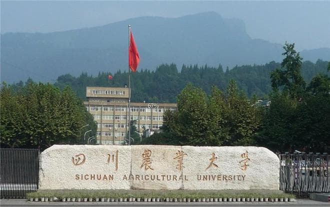 四川农业大学：农科A+学科，录取分低于同类211