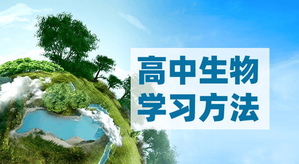 高中生物学习方法全攻略：从基础到考试技巧的全方位指南