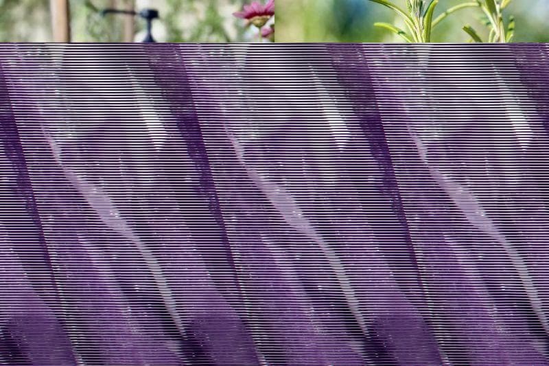 从感官到心灵皆充满疗愈：迷迭香种植与应用指南