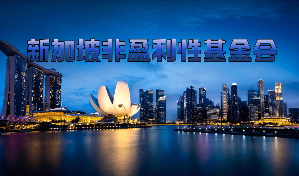 新加坡非盈利性基金会注册最全攻略：从零开始的详细步骤与注意事项