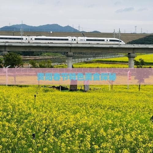 贵阳春节特色美食探秘