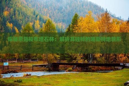 探秘恩施梭布垭石林：解析其独特的喀斯特地貌形态与地质价值