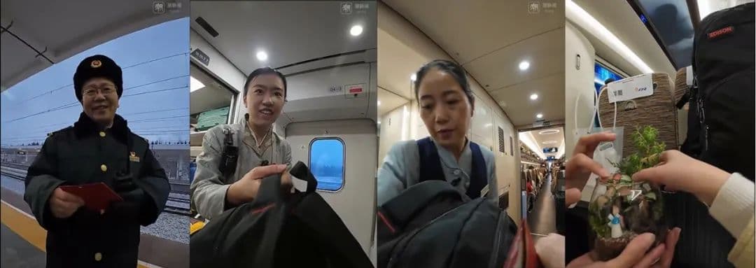 “看哭了！”浙江姑娘一段春运回家视频，百万网友狂赞