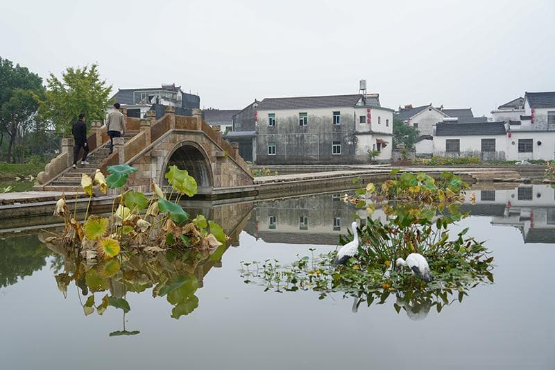 九华山风景区：乡村焕新颜，文旅气象新