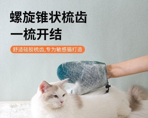 猫咪梳毛的最佳时间与正确方式（宠物爱护之道）