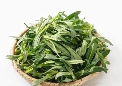 3月，这株其貌不扬的野草，营养丰富，热量低，好吃又养人