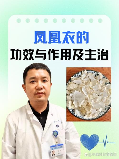 凤凰衣的中药奥秘，揭示其成分、功效与应用