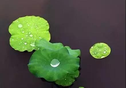 塔罗牌78张牌详解：从愚者到世界，探索人生旅程的深层寓意