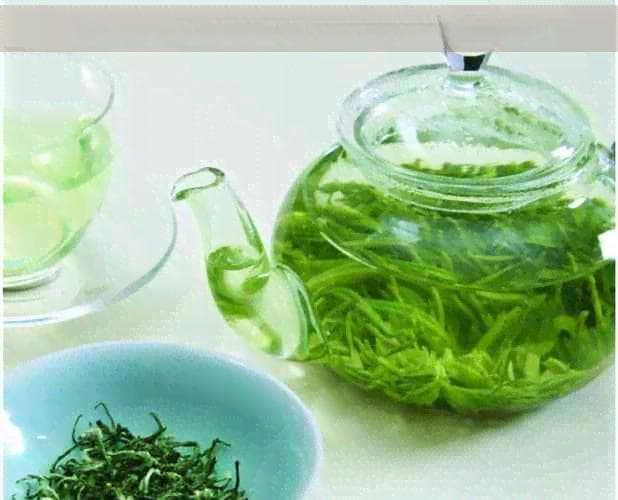 古树的年龄：如何正确估算古代树木的年轮数以确定其年龄？