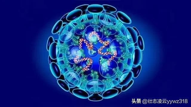 俄罗斯突发神秘病毒！全球警戒升级，多国紧急应对