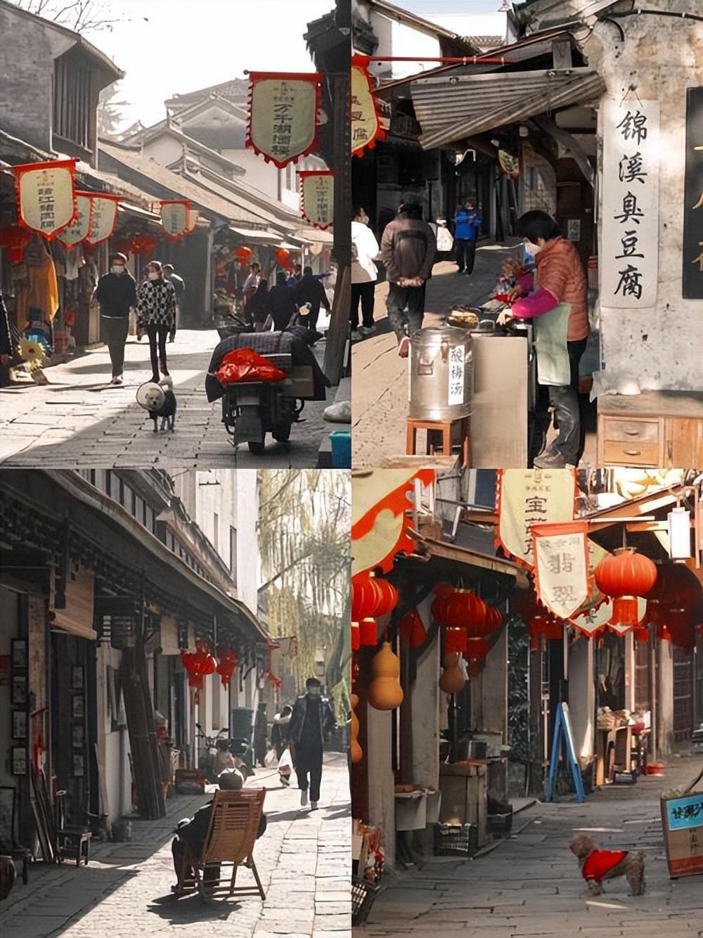 苏州4天3晚古镇深度游攻略：六大古镇精华路线全解析
