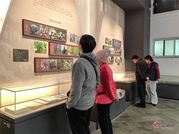 文化中国行｜逛展览、听音乐、看表演，昆明街头巷“文艺范”十足