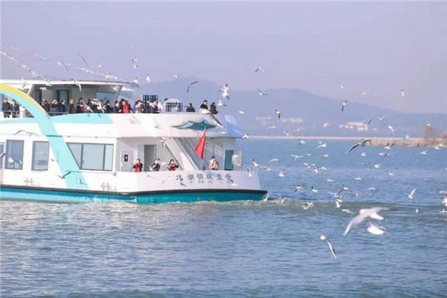 江苏无锡：以水为脉，“生态+文旅”开启太湖美“新窗口”