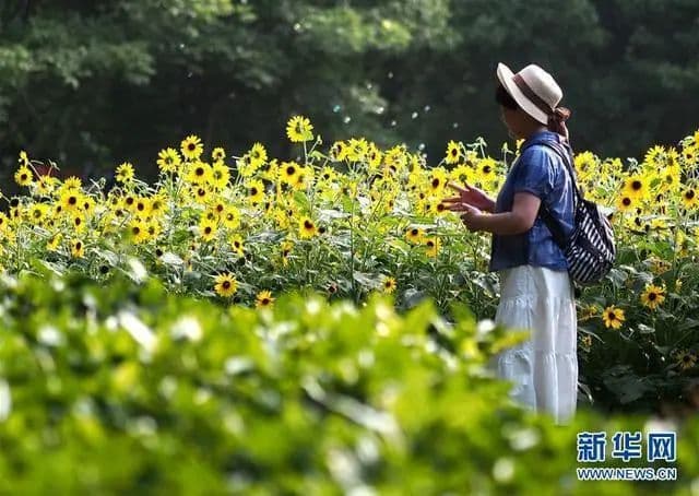 乐健康｜晒太阳过多会得皮肤癌？防晒衣选深色还是浅色？