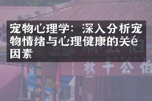 宠物心理学：深入分析宠物情绪与心理健康的关键因素