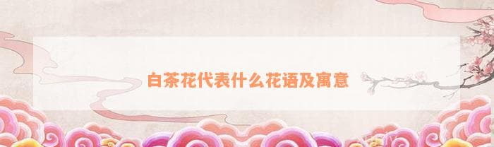 白茶花的花语与寓意：纯洁、高贵与美好