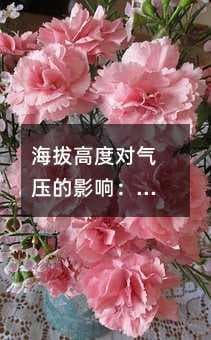 海拔高度对气压的影响：科学原理与实际应用