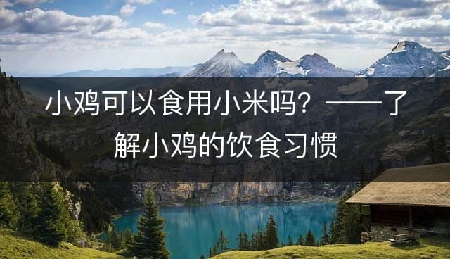 小鸡可以食用小米吗？——了解小鸡的饮食习惯