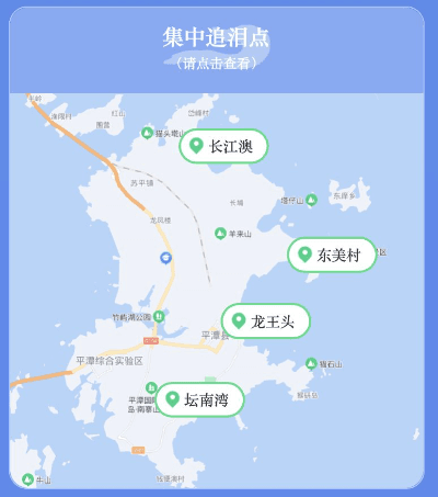 福建平潭蓝眼泪观赏指南