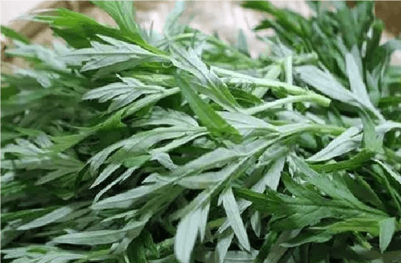 如何正确使用艾草泡澡包进行泡澡