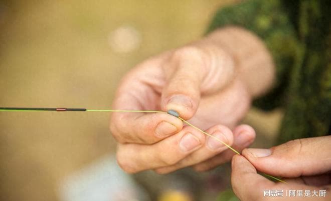 钓鱼线组怎么选择？钓鱼爱好者的实用指南