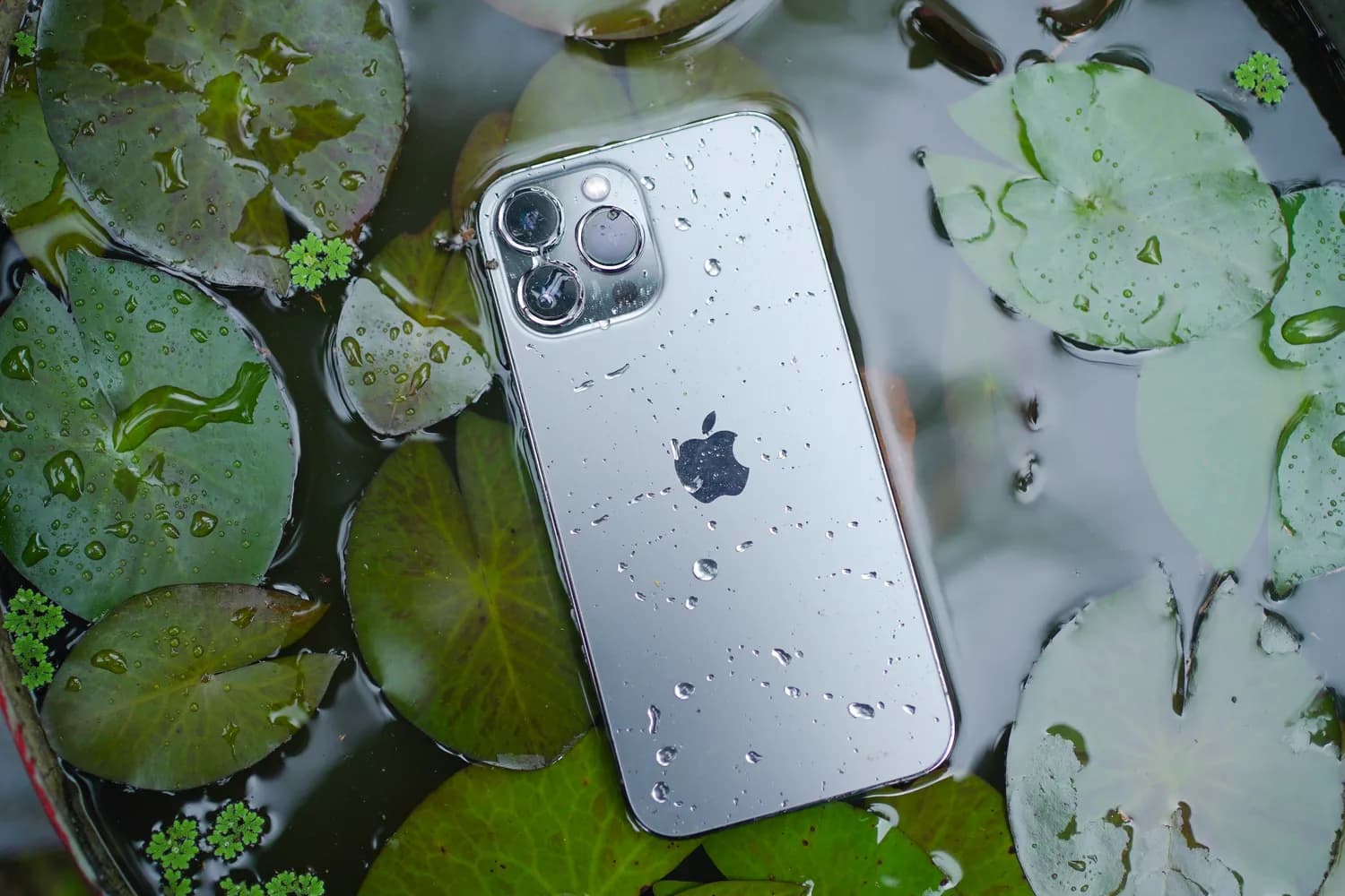 iPhone遇磁铁会怎样？四大功能受影响，这样使用才安全