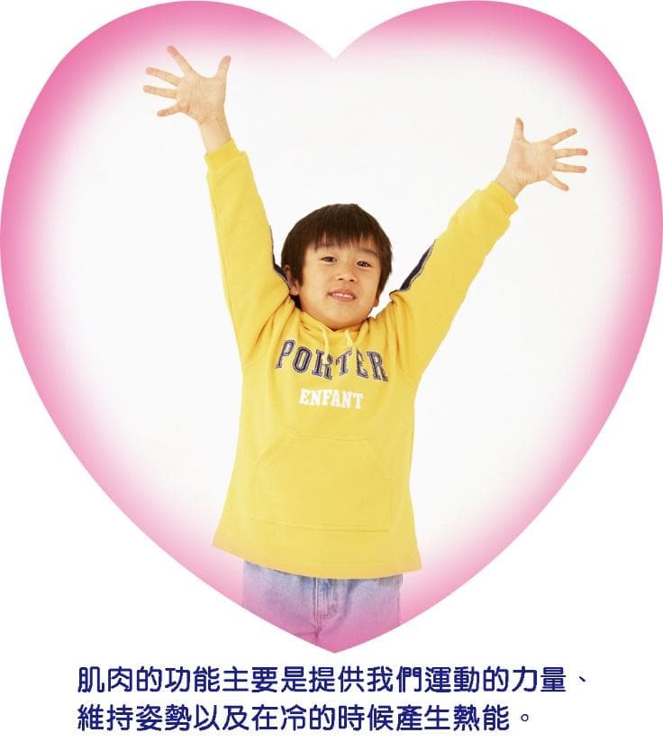 4-8岁是关键：儿童动作发展敏感期与训练指南