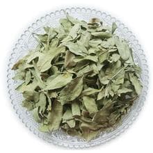 罗布麻：从传统到现代的药用价值
