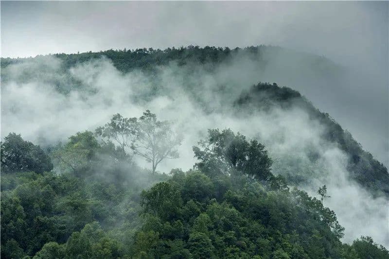 【周末游普洱攻略 】无量山与哀牢山的森林自驾之旅