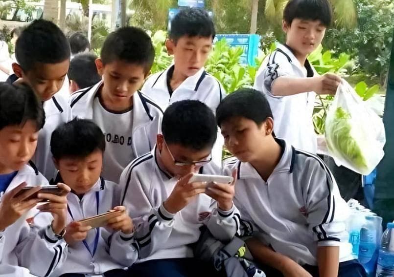 校园"奶头乐"盛行，不少学生透支着身体和未来，家长却毫无察觉