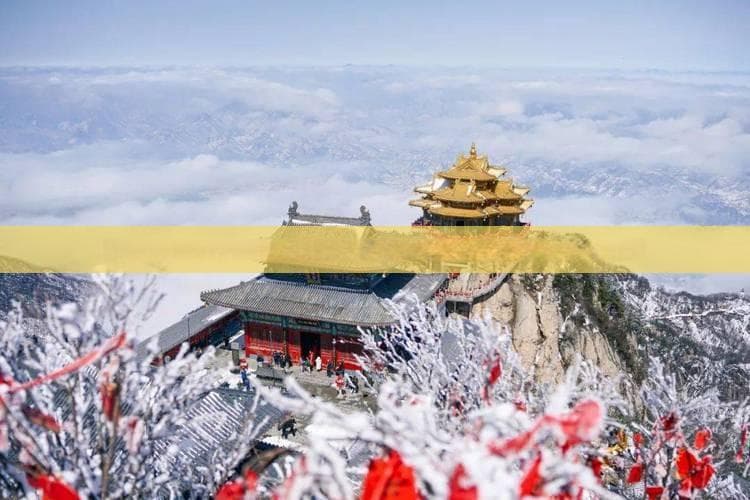 海南贝壳建筑地标：三亚海棠湾网红景点特色与魅力全解析