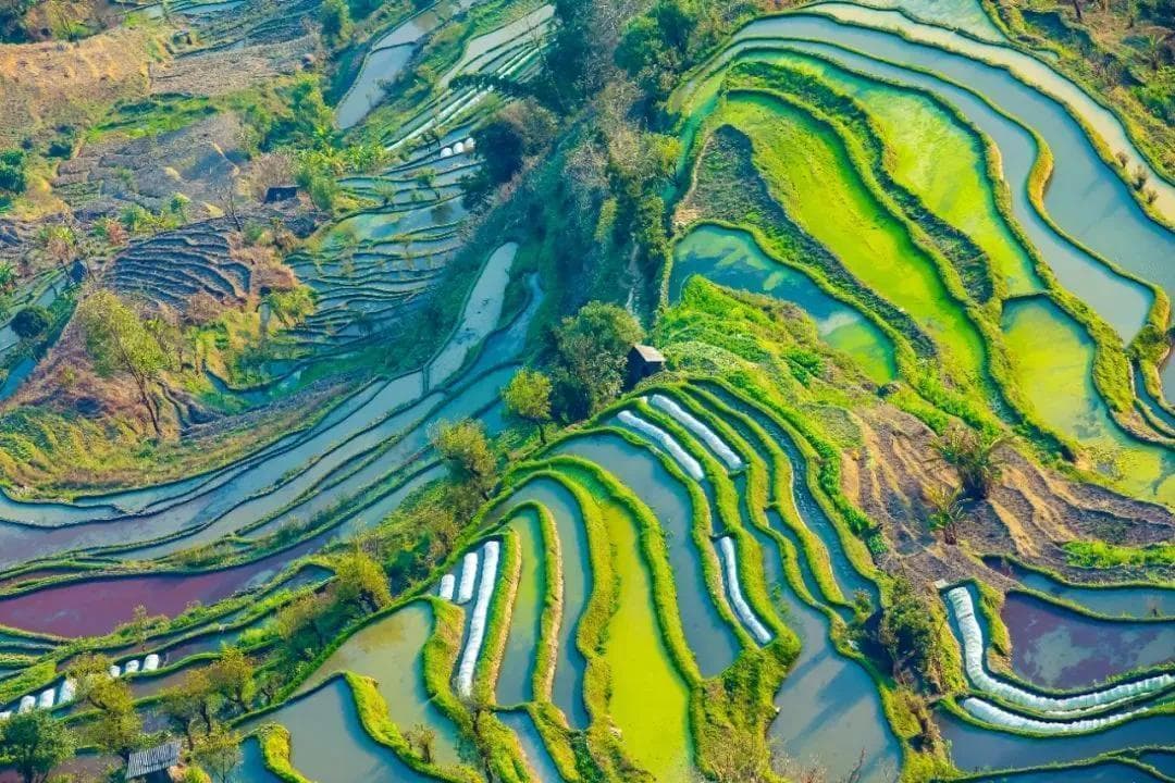 云南红河州旅游景点有哪些？红河州最值得去的10个地方，建议收藏