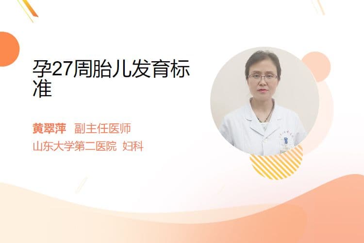 孕27周胎儿发育标准