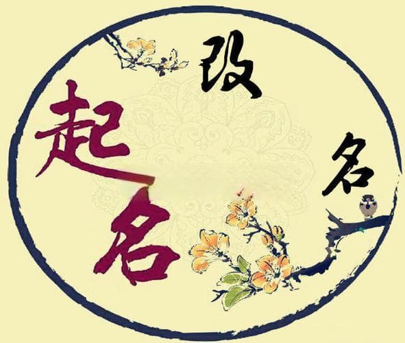 人的八字是注定的命吗？八字命理学的科学性探讨