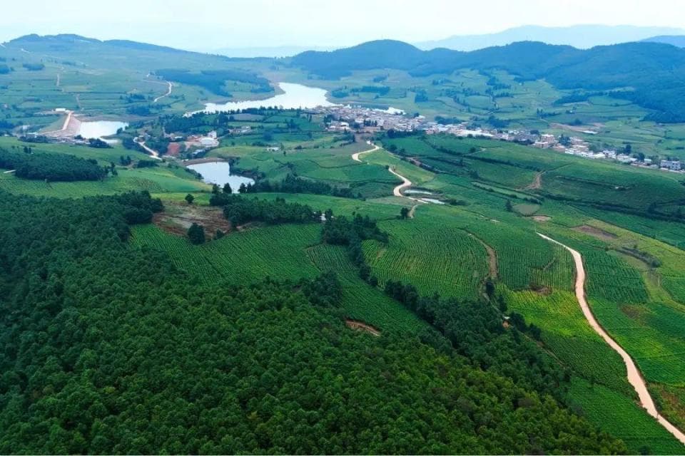 宾居乌龙坝白芸豆：全国名特优新农产品的营养典范