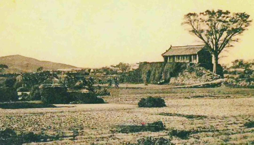 青岛浮山所社区：传承文化薪火，谱写文明新篇章