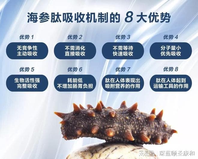 未来食品新宠：海参肽的奇效与潜力