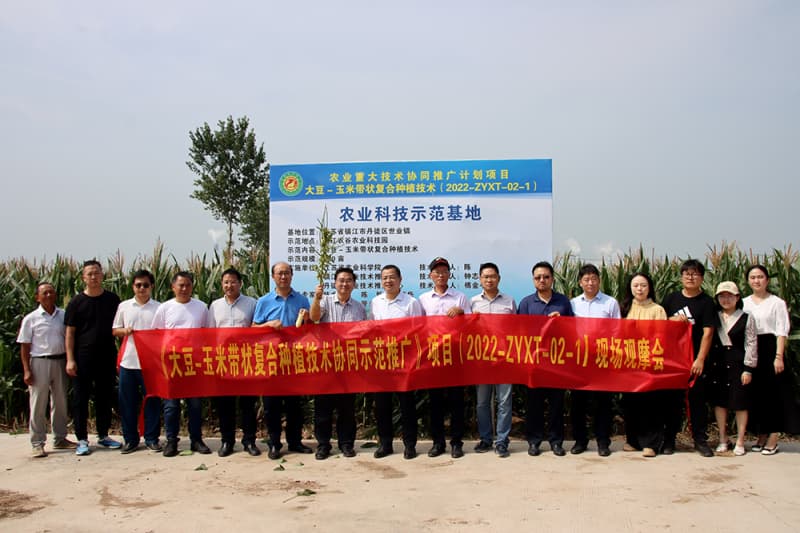 政产研推齐发力 多措并举促落地——大豆玉米带状复合种植协同推广见成效