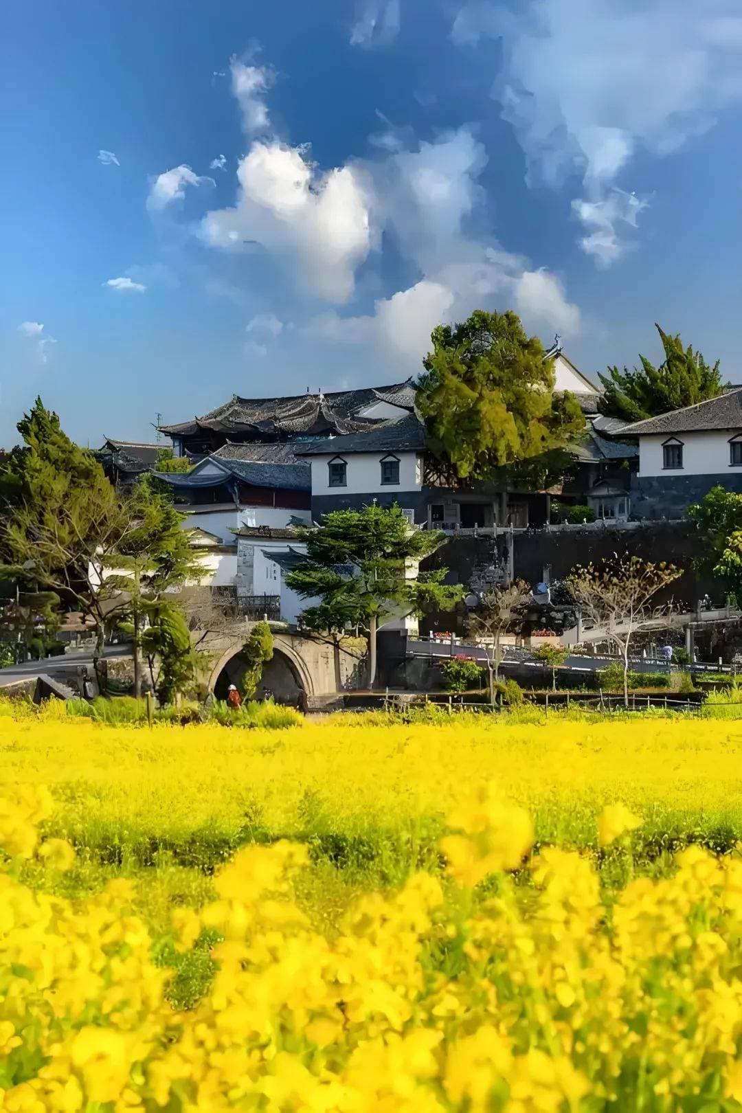 寻梦腾冲：诗意山水间的人文漫旅