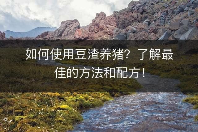 如何使用豆渣养猪？了解最佳的方法和配方！
