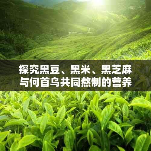 黑豆、黑米、黑芝麻与何首乌：养生食材的黄金搭配