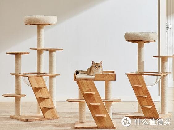 养猫必读：如何选购最适合的猫爬架？