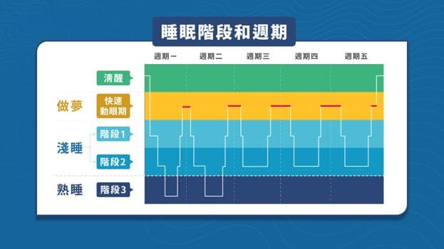 睡眠品质影響大腦健康？慢波睡眠減少恐增加失智風險