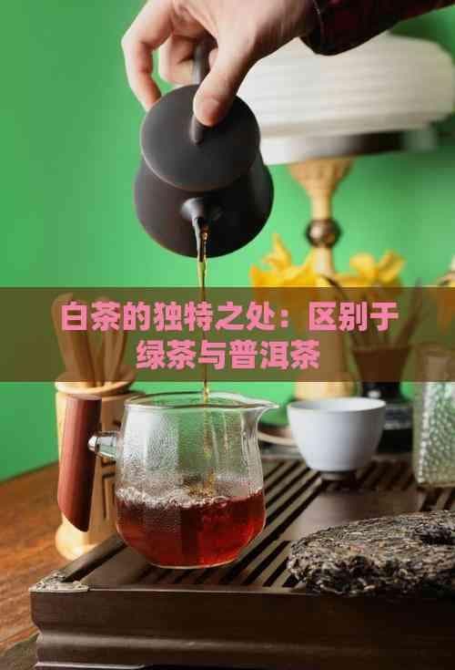 白茶是绿茶还是普洱茶